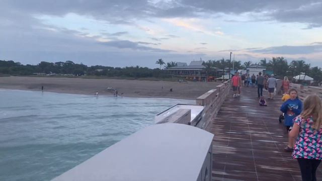 Как отдохнуть с семьей, Sharkeys on the pier Venice Florida смотреть онлайн