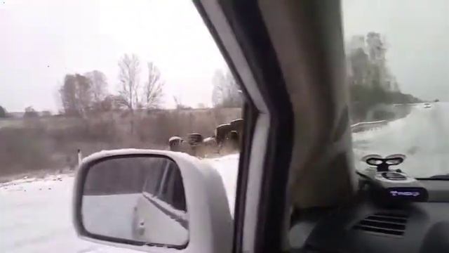Прикол первый снег смотреть онлайн