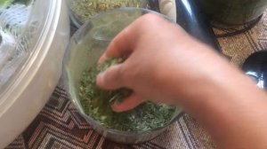 Сушим зелёный лук или что делать с переросшим луком!