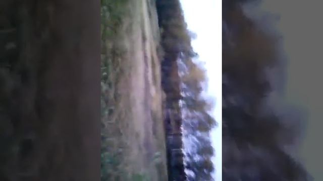 Коряга для аквариума смотреть онлайн