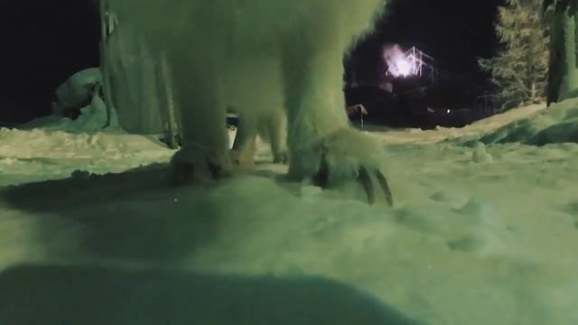 Песец смотреть онлайн