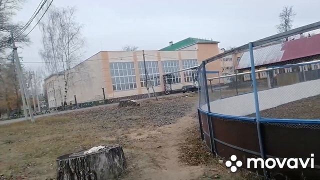 Вкусный Мой Завтрак с Рыбными Молоками?? Как Готовить Молоки??? Бездомная Кошка и знак зодиака Лев. смотреть онлайн