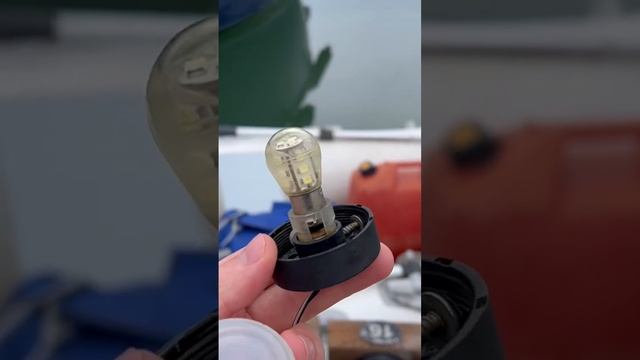 Как часто надо менять воду в лампочке? #yacht #electric смотреть онлайн
