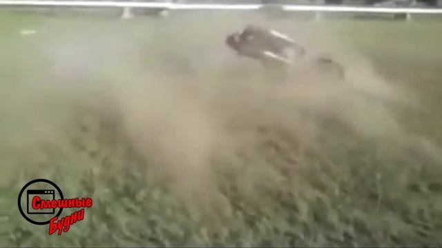 Смешные будни смотреть онлайн