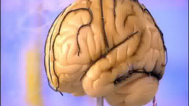 Завтрак для здоровья. Яичница-глазунья в помидоре смотреть онлайн