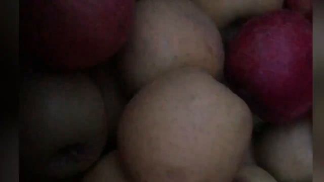 Ароматные Сочные Яблоки Можно Купить у Нас#Shorts#Сумчатый Эксперт. смотреть онлайн