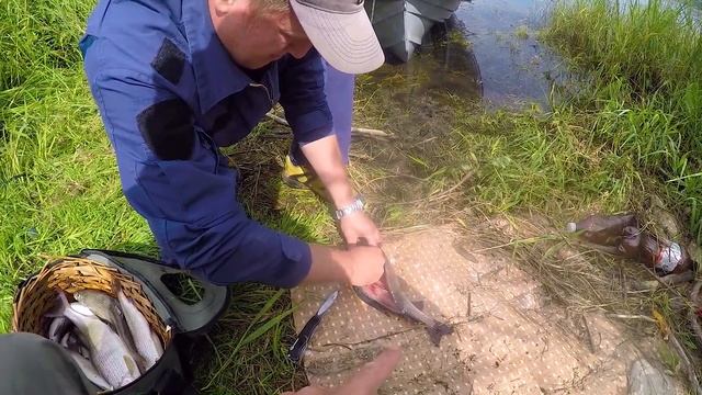 РЫБОХРАНА ПРЕСУЕТ! РЫБАЛКА С ЛИНЕЙКОЙ! РЫБОХРАНА ПРЕСУЕТ, А МЫ ЛОВИМ! Хариус на Енисее летом смотреть онлайн