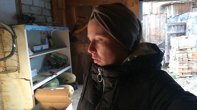 ПОМЫЛА ОКНА/УБРАЛИ ЛУК, ЧЕСНОК/ПОСАДИЛИ И ВЫКОПАЛИ ЦВЕТЫ/СОБРАЛИ СЕМЕНА ЦВЕТОВ/УЕЗЖАЕМ В ГОРОД смотреть онлайн