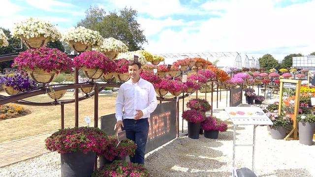 Calibrachoa collection 2022 смотреть онлайн