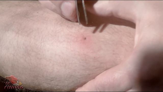 Скрыться или удивить - выбор за ресницами