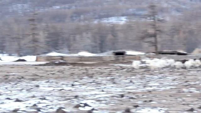 Путешествие на коньках | озеро Хубсугул, Монголия mountain lake Hovsgol , Mongolia смотреть онлайн