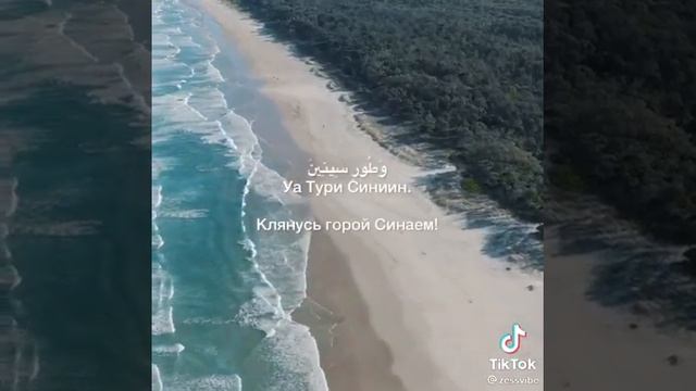 КОРОТКИЕ СУРЫ КОТОРЫЕ БЫСТРО МОЖНО ВЫУЧИТЬ НАИЗУСТЬ смотреть онлайн