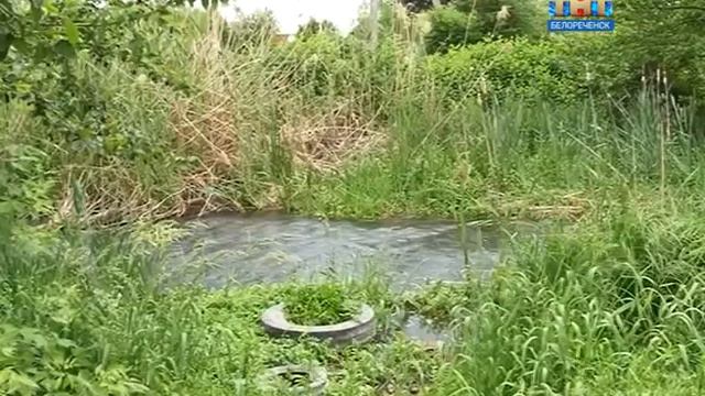 Выделят деньги на расчистку рек смотреть онлайн