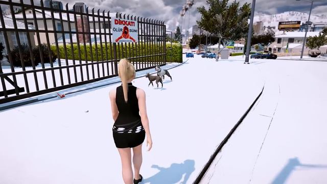 YAVRU PİTBULL EĞİTİMLİ YETİŞKİN DOBERMANLA BOĞUŞUYOR! - GTA 5 смотреть онлайн