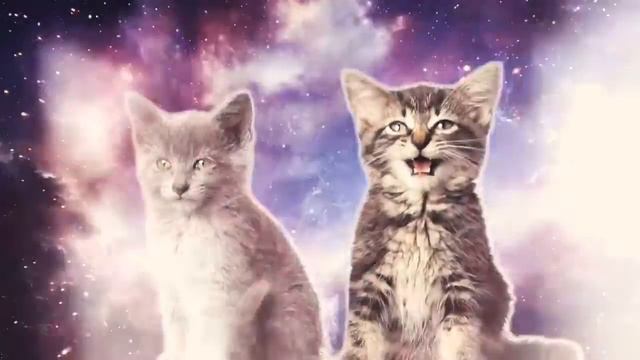 Песня котов в космосе)))))) смотреть онлайн