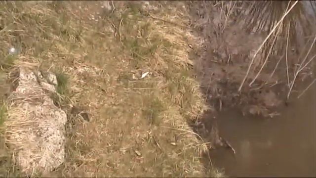 Река Вятка разлив весной 2013года у Сосновки смотреть онлайн