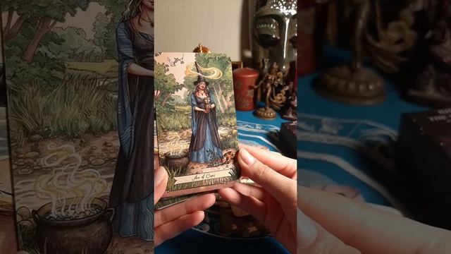 Ведьма каждый день. Обзор колоды смотреть онлайн