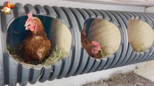 Гнезда из большой гофрированной трубы для септика