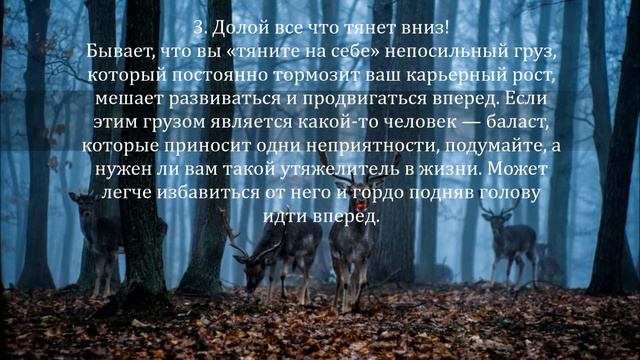 5 советов того, как не потерять себя смотреть онлайн