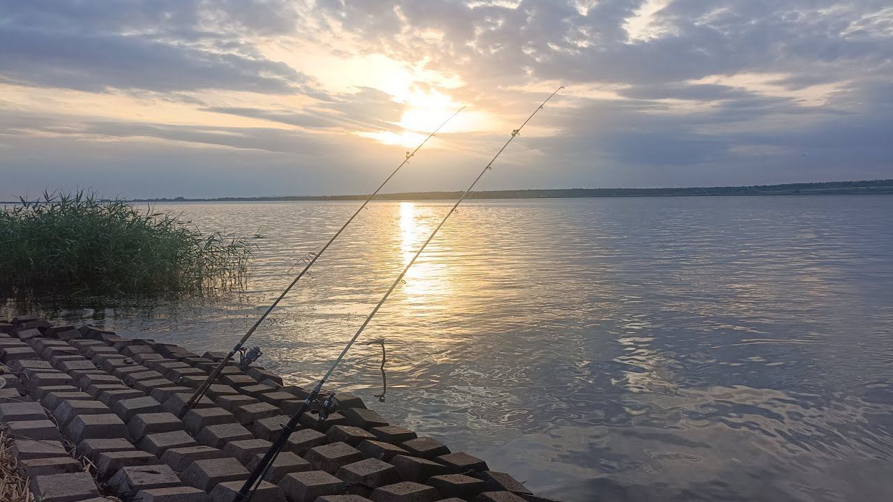 Рыбалка после обеда 13.06.2024г. Оторвался по густёрке. Делюсь рецептом прикормки. смотреть онлайн