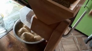 Чем кормим суточных цыплят бройлера