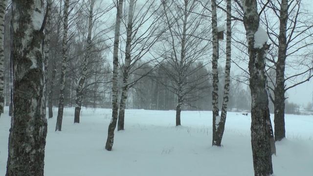 зимний вальс с титрами смотреть онлайн