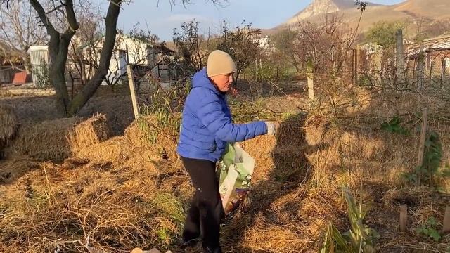 Как пермакультура работает в Крыму Часть 1 смотреть онлайн