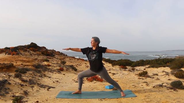 Himalayan Sattva Yoga Flow with Sofia Rosa Fernandes смотреть онлайн