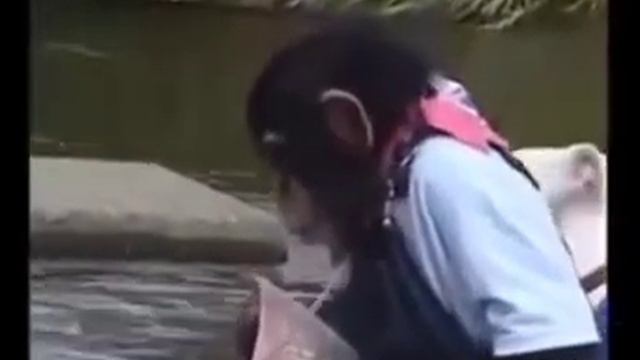 Про НАСТАВНИКА 🤩🤣