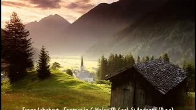 Franz Schubert - Fantasy in C-Major & Andante смотреть онлайн
