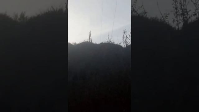 Я тут упала в крапиву, а перед этим скатилась вниз БОЛЬНО!!!????????????? смотреть онлайн