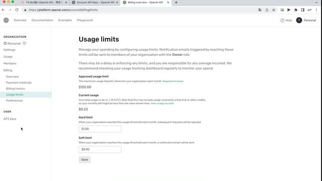 用VPS命令行也能与ChatGPT交流？使用OpenAI api接入，体验真正的人工智能 смотреть онлайн