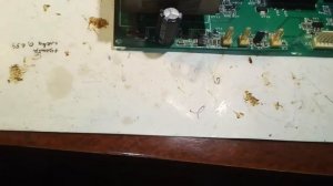 Плата котла эван