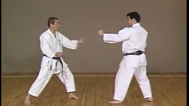 Kanazawa Hirokazu. SKIF. Complete Guide (Vol 3)