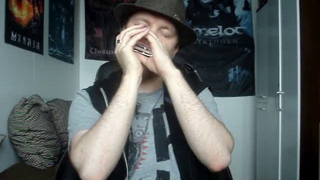 Turisas - To Holmgard and Beyond (Harmonica Cover) смотреть онлайн