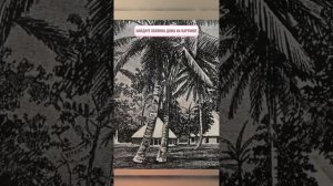 Мега Тест На Внимательность.