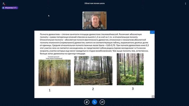 Практикум по теме «Основы лесоведения» смотреть онлайн