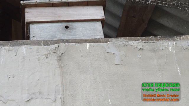 Летят рои 2019. смотреть онлайн