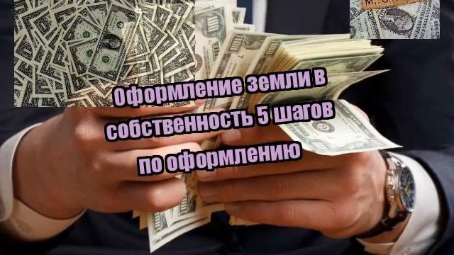 Оформление земли в собственность 5 шагов по оформлению смотреть онлайн