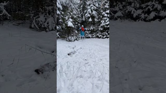 12 декабря 2022 г. смотреть онлайн