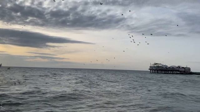 26.01.2021. Погода в Сочи в январе. Смотри на Чёрное море каждый день. смотреть онлайн