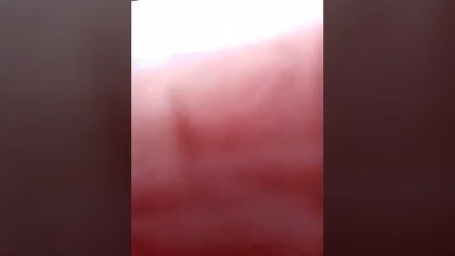 Как делать фото с рыбой смотреть онлайн