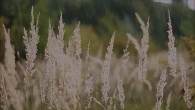 Любви больше нет, но у нас ипотека Я очень хочу, чтобы муж просто бы ушёл и платил ипотеку. Истори смотреть онлайн