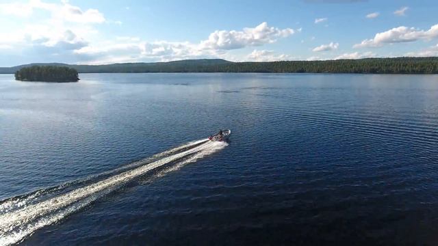 Rib Fortis 490 cat смотреть онлайн