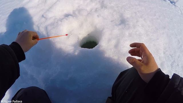 КАРАСИ ВЕСНОЙ! КАК Я ЛОВЛЮ! СНАСТИ, ОСНАСТКА, МОНТАЖ! смотреть онлайн