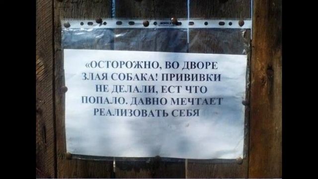 Остроумные хозяева "злых собак" смотреть онлайн