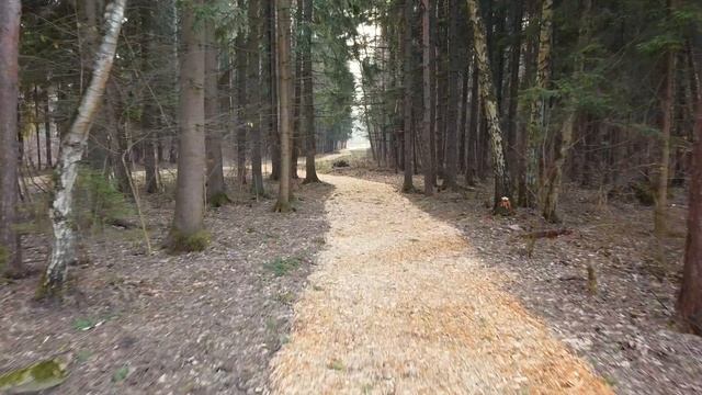 Парк "Филатов луг" весна 2020 смотреть онлайн