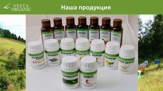 Презентация компании Vesta Organic 1 марта смотреть онлайн