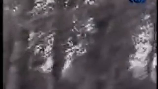 Кого любят комары смотреть онлайн