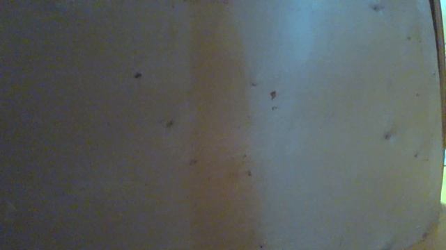МОЮ КВАРТИРУ ЗАТОПИЛИ СОБАЧЬЕЙ МОЧОЙ! Зассали собаки! Потоп в квартире. смотреть онлайн